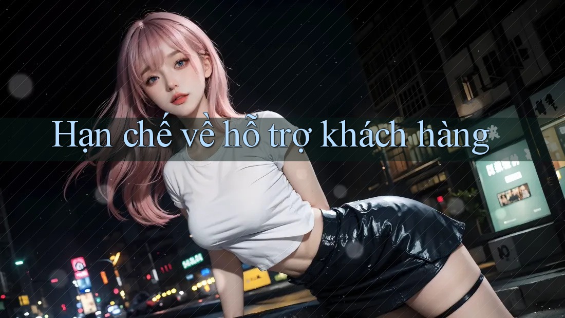 Hạn chế về hỗ trợ khách hàng Hạn chế về hỗ trợ khách hàng