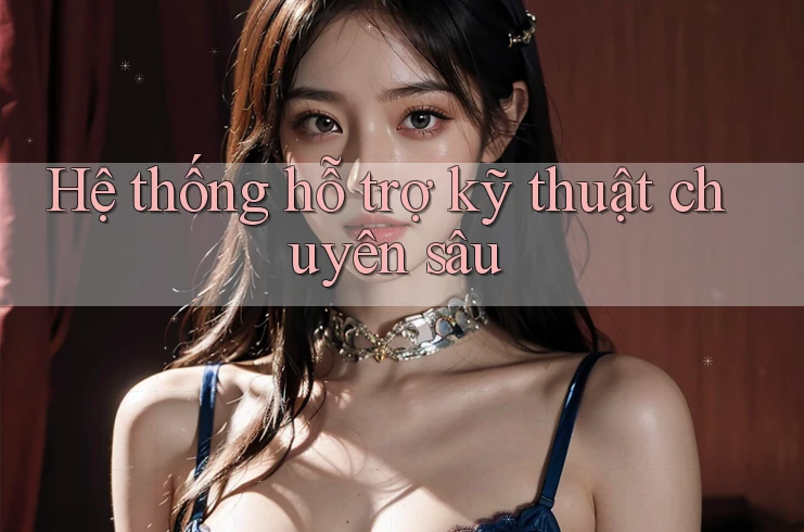 Hệ thống hỗ trợ kỹ thuật chuyên sâu Hệ thống hỗ trợ kỹ thuật chuyên sâu