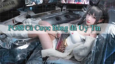 pg88  cá cược bóng đá uy tín