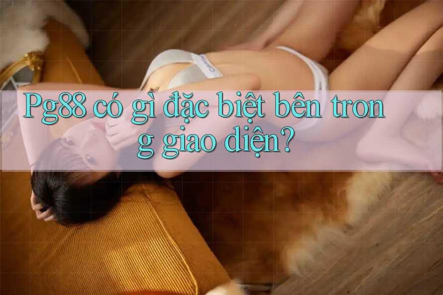 Pg88 có gì đặc biệt bên trong giao diện? Pg88 có gì đặc biệt bên trong giao diện?
