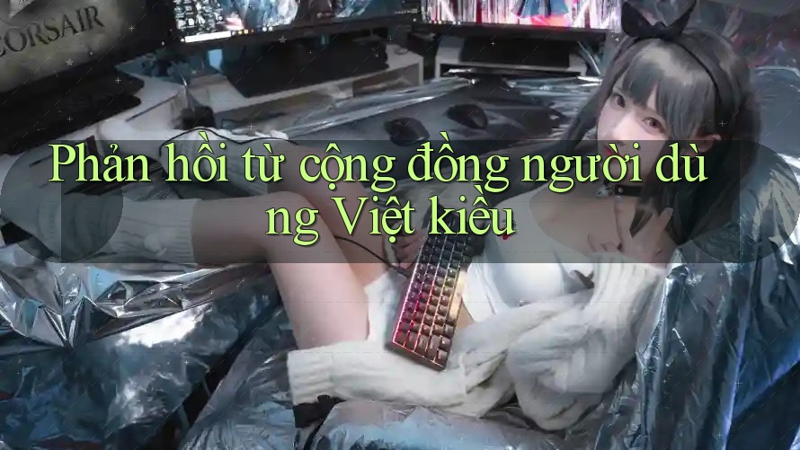 Phản hồi từ cộng đồng người dùng Việt kiều Phản hồi từ cộng đồng người dùng Việt kiều